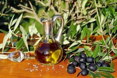 От оливкового масла не будет пользы, если хранить его так: распространенные ошибки - lifehelper.one