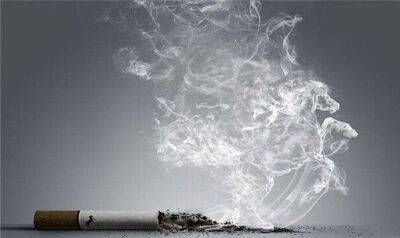 Как быстро избавиться от запаха сигарет в квартире - lifehelper.one