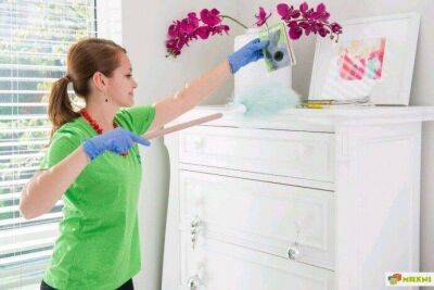 Как правильно вытирать пыль с мебели - lifehelper.one