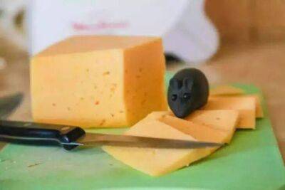 Сыр: как и в чем стоит хранить этот продукт, чтобы он дольше оставался свежим и вкусным - lifehelper.one
