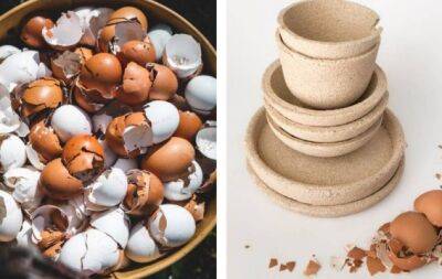 Декор и посуда своими руками: как сделать керамику из яичной скорлупы - hochu.ua
