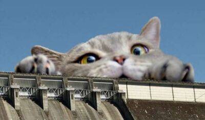 Армия США выпустила календарь, в котором гигантские коты разрушают американскую инфраструктуру (13 фото) - chert-poberi.ru - Сша - Вашингтон - штат Орегон