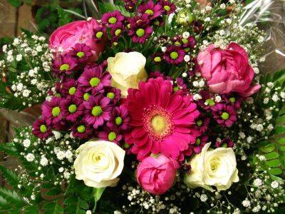 Какие цветы подарить девушке: особенности и правила выбора - ladyspages.com
