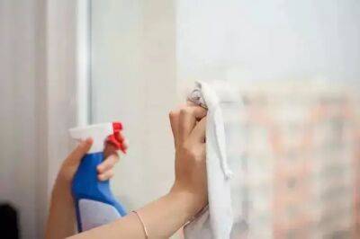Чем помыть окна, чтобы дольше оставались чистыми: об этом не расскажет хитрый мойщик - belnovosti.by