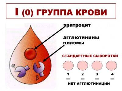 5 фактов, которые отличают обладателей первой группы крови от других - polsov.com - Япония