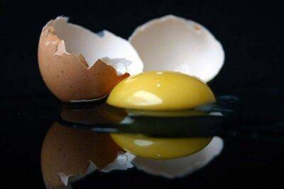 Как убрать сырое яйцо со стола или пола без липкости и разводов - lifehelper.one