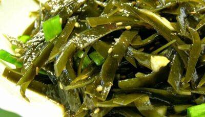 Кулинарный тренд – морские водоросли. Как правильно внедрить их в меню? - fokus-vnimaniya.com - Китай - Италия - Франция - Япония - Испания - Корея - Аргентина