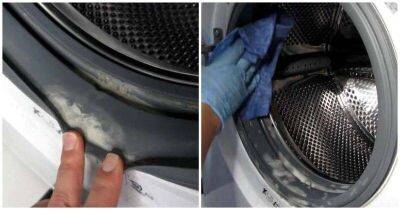 Полностью очистите стиральную машинку, и она прослужит долгие годы - lifehelper.one
