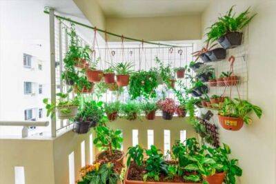 Как обустроить мини-сад на балконе: главные нюансы и полезные идеи - milayaya.ru