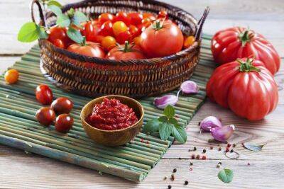 Какие салаты можно приготовить из томатов? - lifehelper.one