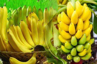 Какие бананы лучше покупать: зеленые, желтые или перезрелые - lifehelper.one