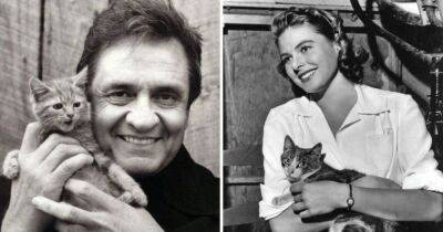 17 ретро снимков знаменитостей прошлых лет, на которых они запечатлены в компании с милейшими котами - mur.tv