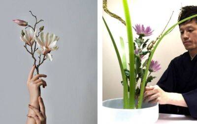 Очарование икебаны: как создать стильную композицию из растений - hochu.ua