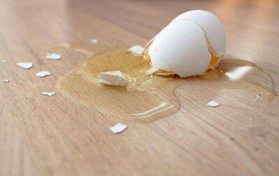 Что делать, если разбил яйцо на полу: 2 способа его легко убрать - lifehelper.one