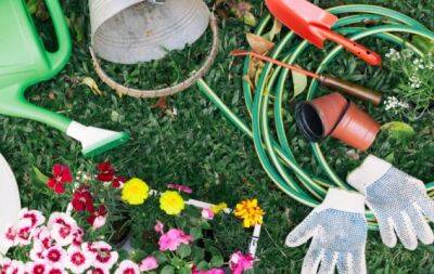 5 полезных идей повторного использования старого садового шланга - hochu.ua