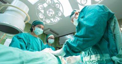 В Україні з початку року провели вже 124 трансплантації органів - womo.ua - Україна