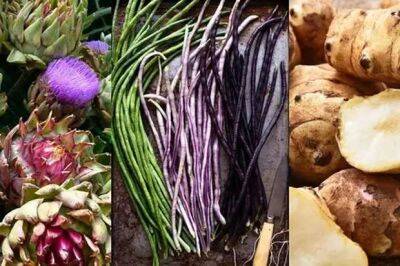 Удиви соседей: 6 необычных овощей, которые можно вырастить на дачной грядке - lublusebya.ru - Иерусалим