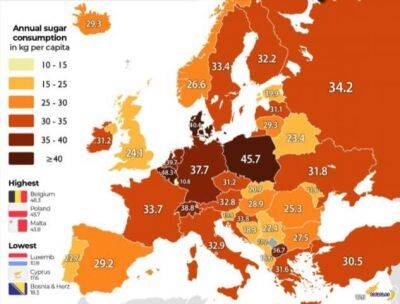 Европейские пожиратели сахара - chert-poberi.ru - Бельгия - Польша - Белоруссия