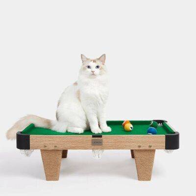 Специально для кошек создали миниатюрный бильярдный стол - lifehelper.one