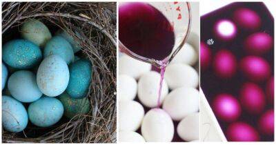 Нежные и красивые пасхальные яйца: магия окрашивания простым способом - lifehelper.one