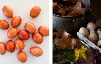 Как правильно красить яйца с помощью луковой шелухи: инструкция для новичков - hochu.ua