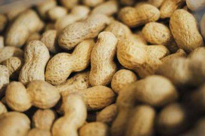Исследование: арахис улучшает кровоток и укрепляет сосуды - chert-poberi.ru