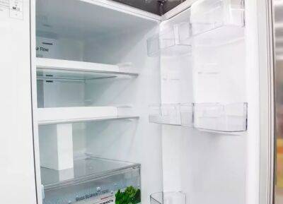 Они покажутся вам странными: 8 способов использовать холодильник не по назначению - belnovosti.by