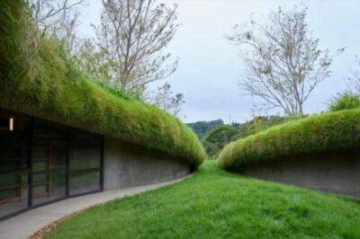 Библиотека с сюрпризом: подземный объект на органической ферме в Японии - chert-poberi.ru - Япония - Токио