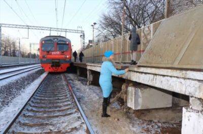 Выживет ли человек попавший под поезд, если успеет лечь между рельсов - chert-poberi.ru