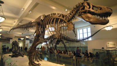 В Швейцарии на торги выставлен полный скелет самого известного динозавра Tirannosaurus Rex - fokus-vnimaniya.com - Швейцария
