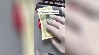 Микробиолог показал как бактерии живут на банкнотах - chert-poberi.ru