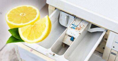 Когда вижу, что чистота стиральной машины оставляет желать лучшего, отправляю туда лимон, самое сильное средство - lifehelper.one