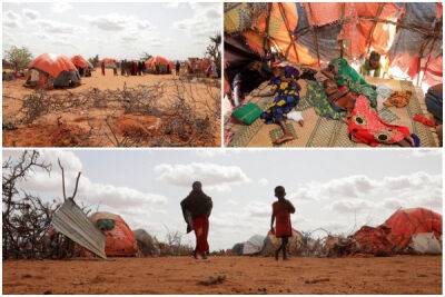 Младенцы умирают от голода из-за сильнейшей за 40 лет засухи в Сомали - porosenka.net - Сомали