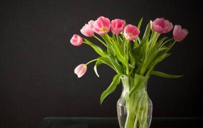 Навіщо ставити тюльпани у солодку воду? Хитрощі, які допоможуть квітам стояти довше - hochu.ua