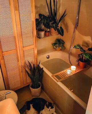 Создаем дома ощущение отпуска. Интерьер маленькой ванной комнаты в тропическом стиле - lublusebya.ru