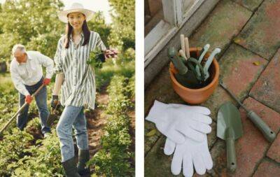 7 садовых инструментов, которые пригодятся вам этой весной - hochu.ua