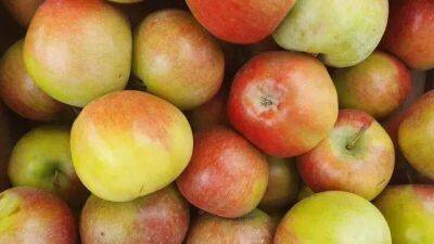 Игорь Зур - Как выбрать по-настоящему вкусные яблоки: запомните всего одну деталь - lifehelper.one