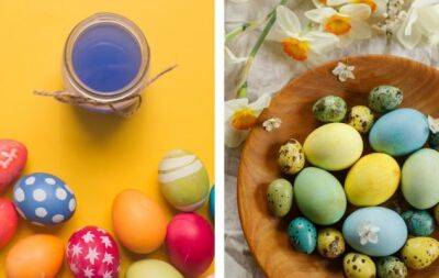 Как красить яйца на Пасху? 3 простых способа + лайфхаки, как правильно варить яйца - hochu.ua