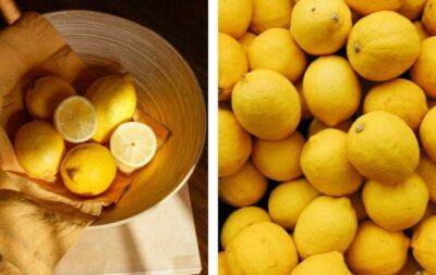6 полезных вещей, которые можно сделать с лимонами - hochu.ua