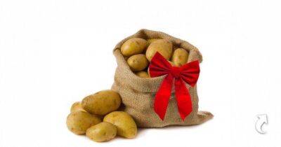 ​Самый ценный подарок для женщины – это мешок картошки - lifehelper.one