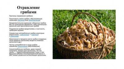 Отравление грибами: симптомы, первая помощь - lifehelper.one