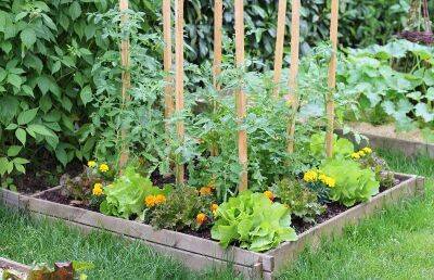 Как меньше поливать огород всё лето: проблему решит пакетная грядка - lifehelper.one