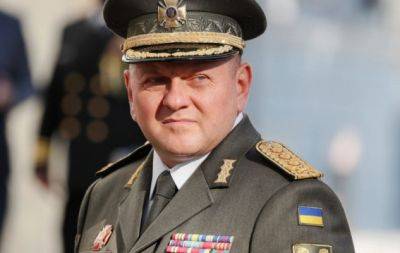 Військовий від народження: 13 цікавих фактів про головнокомандувача ЗСУ Залужного - hochu.ua