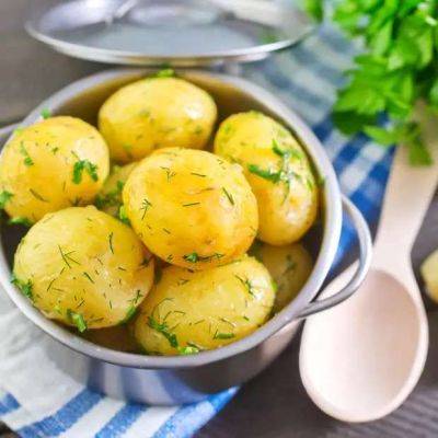 Самые популярные сорта картофеля - lublusebya.ru