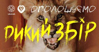 В Україні збирають кошти на диких тварин, що постраждали від війни: подробиці - womo.ua