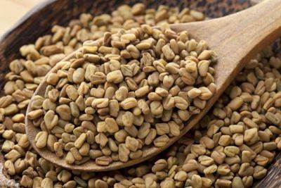 Пажитник: семена с впечатляющей пользой для здоровья - lifehelper.one