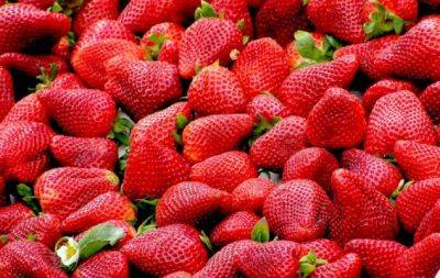 Одним рухом руки: як вибрати свіжі ягоди у магазині (ВІДЕО) - hochu.ua