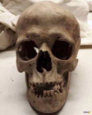 Реконструкция внешности по черепу, которому 4000 лет - chert-poberi.ru - Швеция