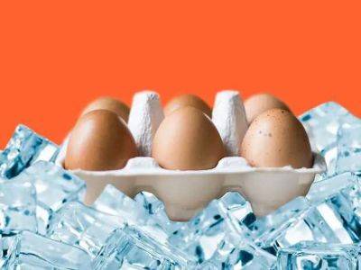 В целости и сохранности: как продлить срок годности яиц до одного года - lublusebya.ru