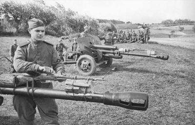 Зачем советские солдаты привязывали винтовки Мосина к стволам артиллерийских орудий - chert-poberi.ru